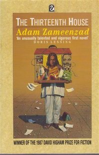 The Thirteenth House by Adam Zameenzad - book cover